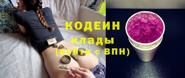 прущие грибы Сатка