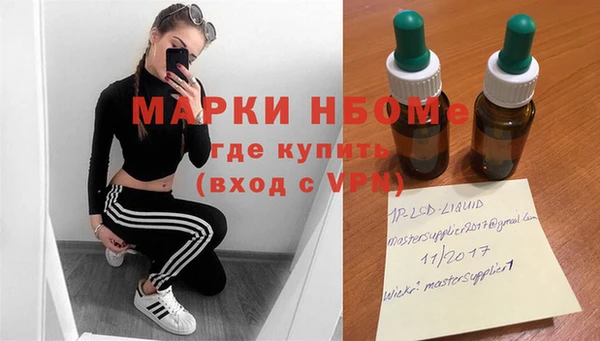 прущие грибы Сатка