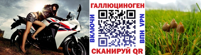 Галлюциногенные грибы Magic Shrooms  закладка  Торжок 