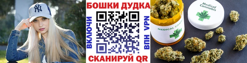 как найти закладки  Торжок  МАРИХУАНА ГИДРОПОН 